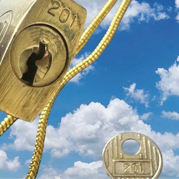 #201 Authentic Louis Vuitton Lock and Key with Unbranded Chain Series 200’s - Picture 9 of 12